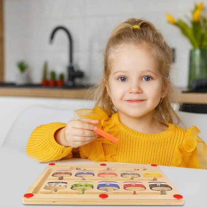 Montessori Magnetisch Doolhof